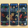 Mixed Flavors (9x330ml)